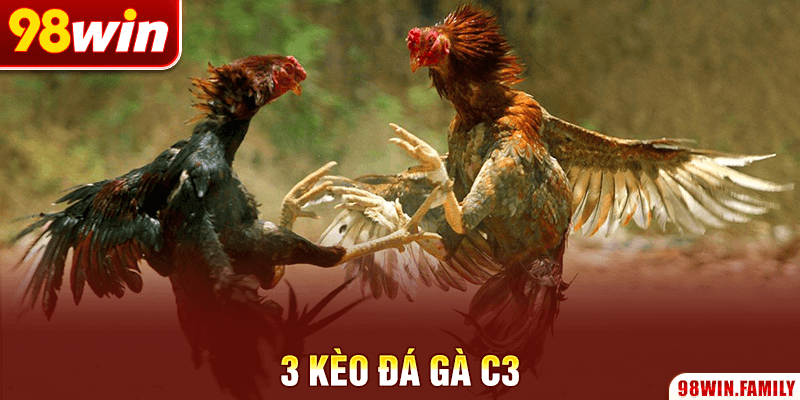 3 kèo đá gà C3