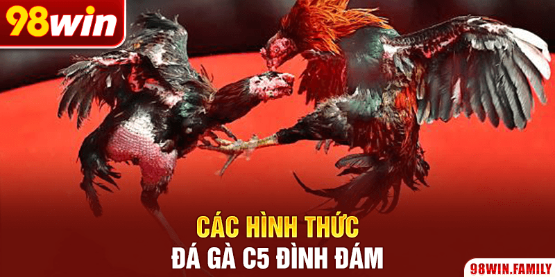 Các hình thức đá gà C5 đình đám