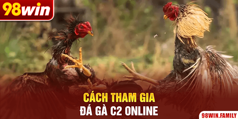 Cách tham gia đá gà C2 online