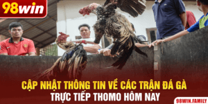 Cập Nhật Thông Tin Về Các Trận Đá Gà Trực Tiếp Thomo Hôm Nay