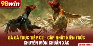 Đá Gà Trực Tiếp C2 - Cập Nhật Kiến Thức Chuyên Môn Chuẩn Xác