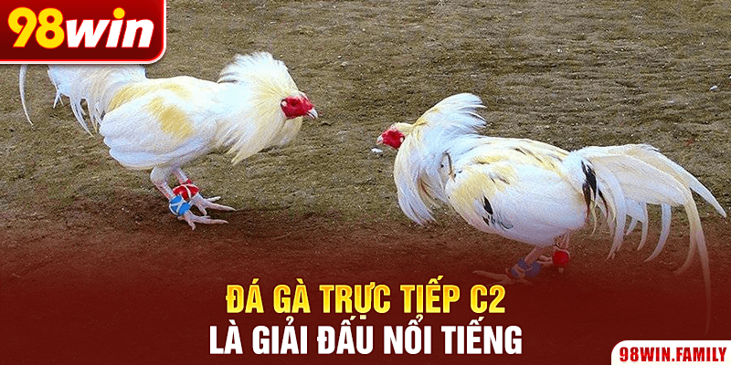 Đá gà trực tiếp C2 là giải đấu nổi tiếng
