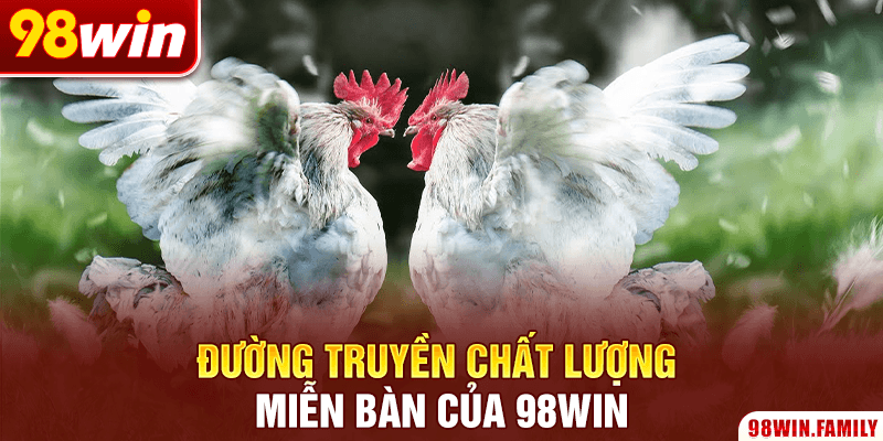 Đường truyền chất lượng miễn bàn của 98WIN
