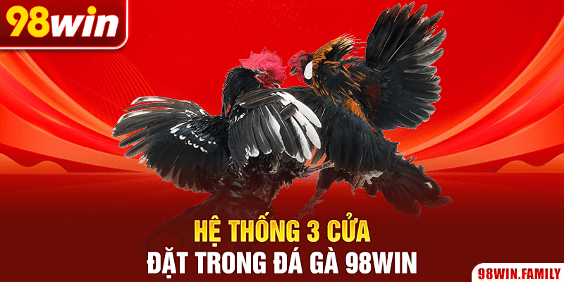 Hệ thống 3 cửa đặt trong đá gà 98Win