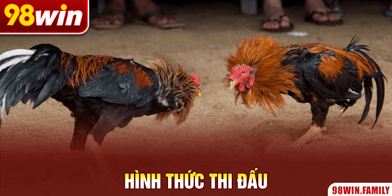 Hình thức thi đấu