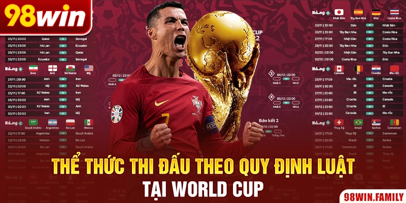 Thể thức thi đấu theo quy định luật tại World Cup