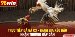 Trực Tiếp Đá Gà C3 - Tham Gia Kèo Đấu Nhận Thưởng Hấp Dẫn