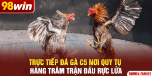 Trực Tiếp Đá Gà C5 Nơi Quy Tụ Hàng Trăm Trận Đấu Rực Lửa